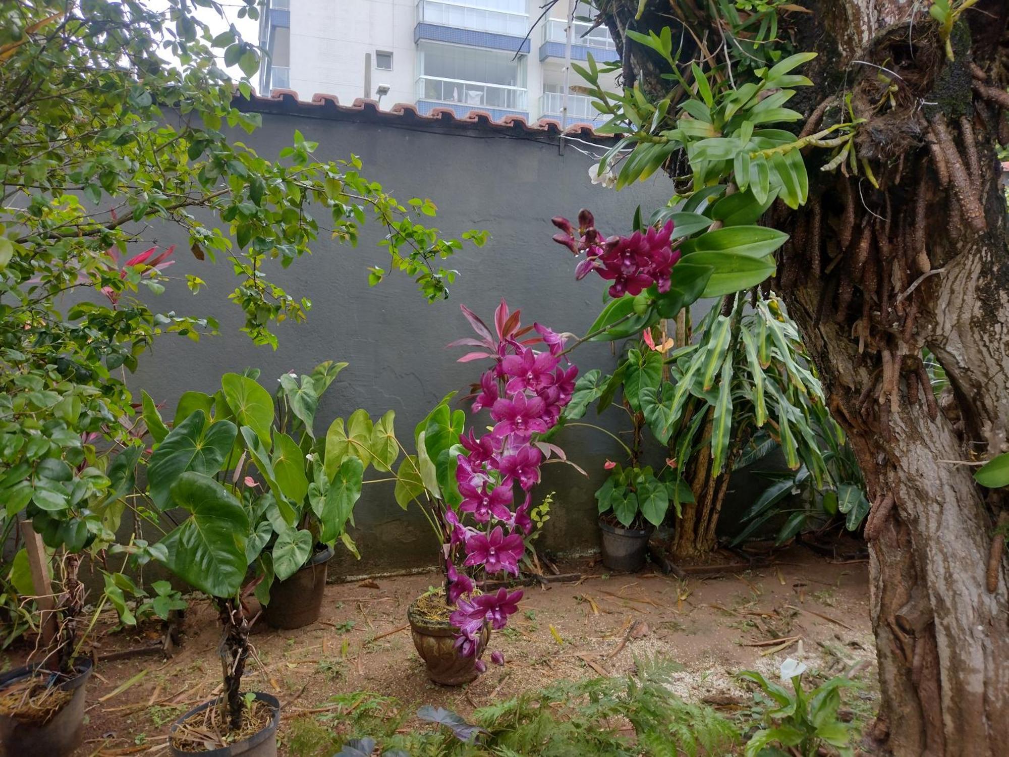 Hostel Le Castelle Caraguatatuba Ngoại thất bức ảnh